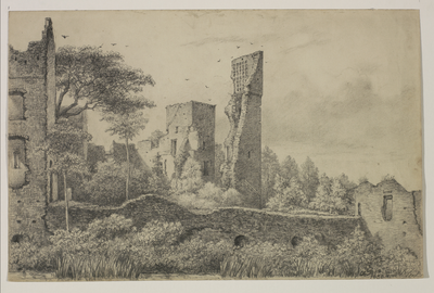 206304 Gezicht op de ruïne van het kasteel De Haar bij Haarzuilens uit het oosten.N.B. De gemeente Haarzuilens is per 1 ...